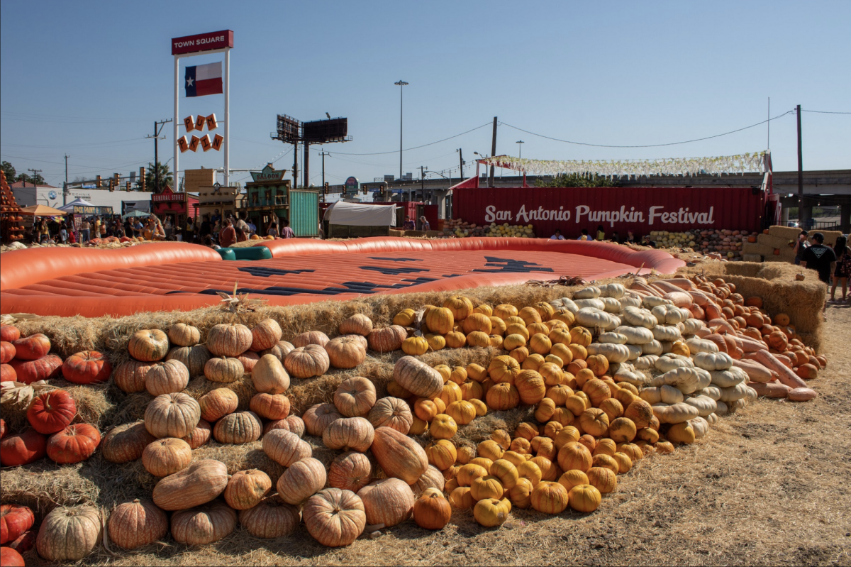 This pumpkin patch is the perfect place to take pictures